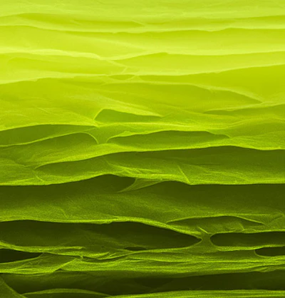 This false-color, scanning electron microscope image shows the fractured surface of a sequentially bonded graphene sheet. An international research team led by scientists at Beihang University in China and The University of Texas at Dallas developed the high-strength, super-tough sheets, which can be inexpensively fabricated at low temperatures. (Beihang University)