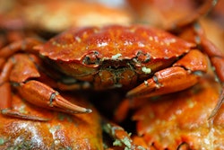 Cooked green crabs are seen, Wednesday, June 6, 2018, in Portland, Maine. Food scientists have gathered in Portland to find a way to monetize invasive green crabs, which are a major pest in shellfish harvesting communities. (AP Photos/Robert F. Bukaty)