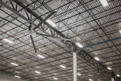 Mnet 176953 Hvls Fans Featured