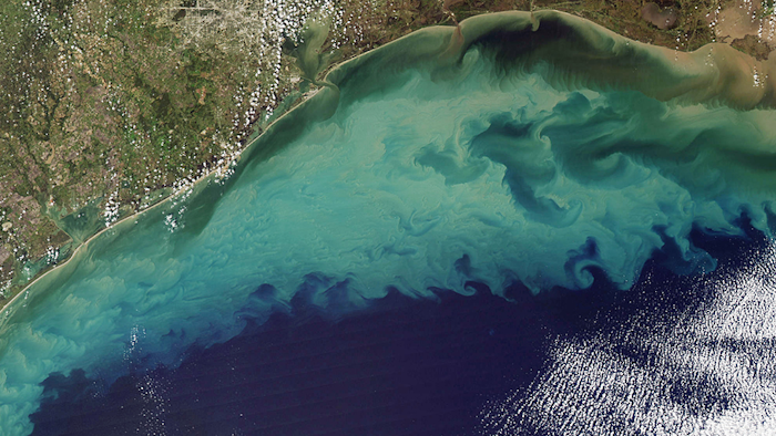 Mnet 127080 Gulf Dead Zone Wikimedia Commons