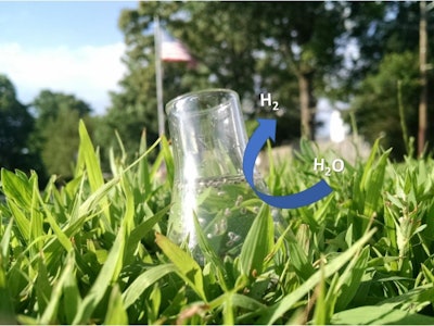 When exposed to sunlight, star-shaped gold nanoparticles coated with a semiconductor allow efficient production of hydrogen from water. (Ashley Pennington/Rutgers University-New Brunswick)
