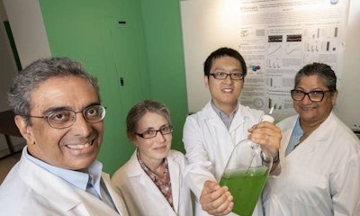 Himadri Pakrasi (left), led a team of researchers that has created a bacteria that uses photosynthesis to create oxygen during the day, and at night, uses nitrogen to create chlorophyll for photosynthesis. The team included Michelle Liberton (second from left), Deng Liu and Maitrayee Bhattacharyya-Pakrasi. (Joe Angeles/Washington University)