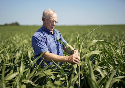 In this July 12, 2018 photo, farmer Don Bloss examines a tall sorghum plant in his field in Pawnee City, Neb. Farmers and agricultural economists are worried that president Donald Trump’s trade, immigration and biofuels policies will cost farms billions of dollars in lost income and force some out of business. (AP Photo/Nati Harnik)