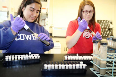 Stuti Sharma and Madison Campbell transfer extracted soil protein samples to tubes for separation of the solids in a centrifuge. (Steve W. Culman)