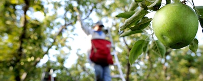 Mnet 156152 Farmworkers Shelter Pesticide Hero
