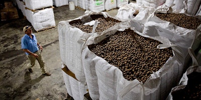In this June 21, 2018, photo, Buck Paulk walks through his warehouse storing pecans at Shiloh Pecan Farms in Ray City, Ga. Paulk estimates that over 50 percent of his pecans are exported out of the country, China being one of the main recipients. Georgia is the nation's leading producer of pecans. (AP Photo/David Goldman)