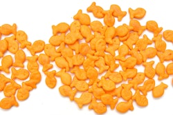 Mnet 156221 Goldfish Recall Hero 0