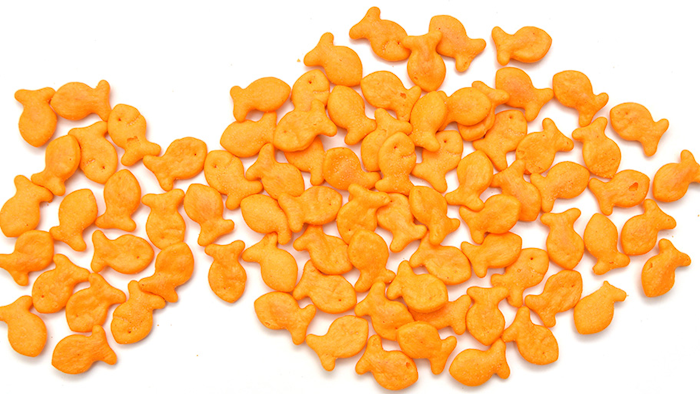 4 Types Of Goldfish Crackers Recalled Over Salmonella Fears Manufacturing Net 4 Types Of Goldfish Crackers Recalled Over Salmonella Fears Manufacturing Net