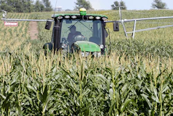 Farmer Tim Novotny, of Wahoo, shreds male corn plants in a field of seed corn, in Wahoo, Neb., Tuesday, July 24, 2018. The Trump administration announced it will provide $12 billion in emergency relief to ease the pain of American farmers slammed by President Donald Trump's escalating trade disputes with China and other countries. (AP Photo/Nati Harnik)