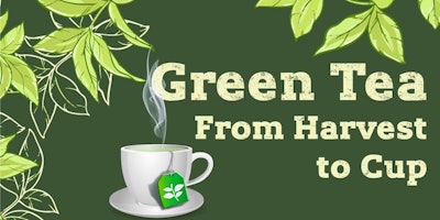 Mnet 156305 Green Tea Outside Listing 0