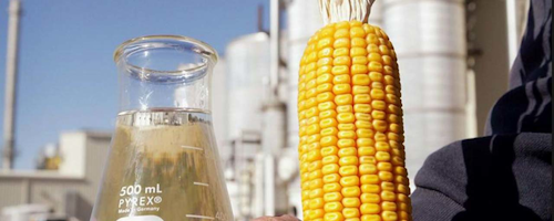 Mnet 156376 Corn And Ethanol Creative Commons