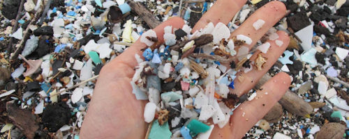 Mnet 156378 Plastic Pollution Sarah Jeanne Royer