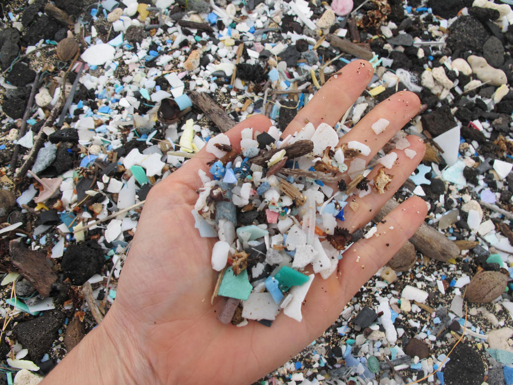 Plastic pollution seen in Kamilo Point. (University of Hawaii at Manoa School of Ocean and Earth Science and Technology)