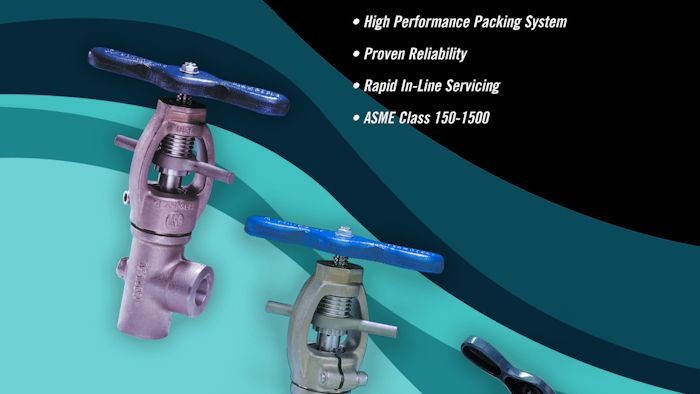 Mnet 177162 Conval Api 602 Globe Valve Brochure Page 1