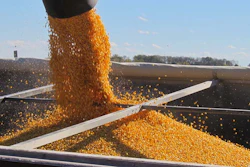 Mnet 177328 Corn Flickr Commons