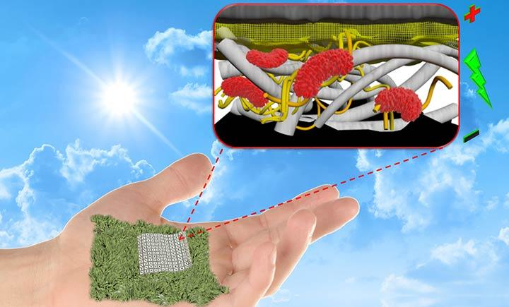 Researchers at Binghamton University, State University at New York have created a biodegradable, paper-based battery that is more efficient than previously possible. (Seokheun 'Sean' Choi)