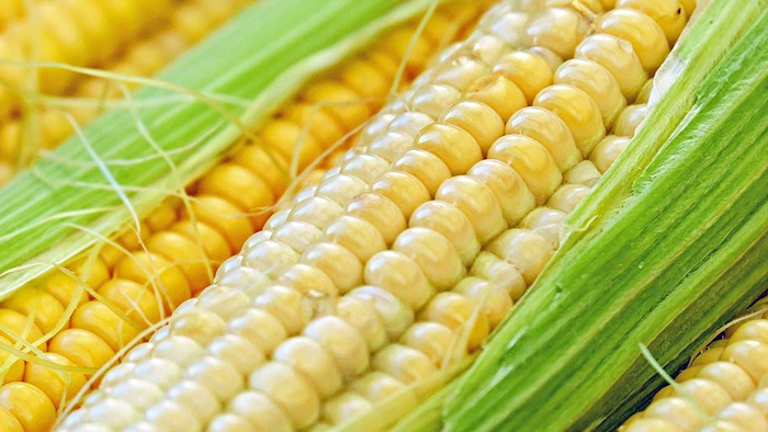 Mnet 195180 Corn Creative Commons