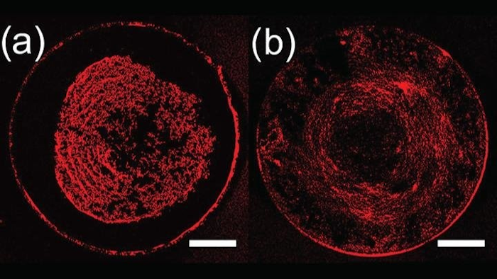 For figure A, there is particle transport to the apex of the target droplet and a dense center deposit is formed. For figure B, the final mapped deposit is more uniform. Image credit: Langmuir