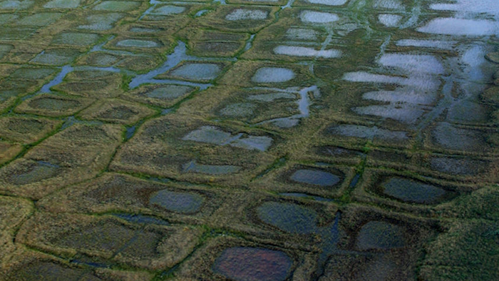Mnet 195450 National Petroleum Reserve Alaska Usgs