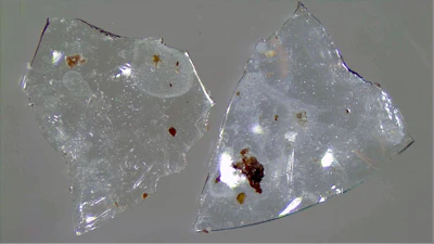 Contact lenses recovered from treated sewage sludge could harm the environment. (Charles Rolsky)