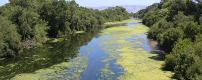 Mnet 195556 Algae California State Water Resources Control Board