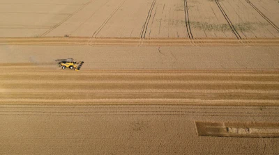 Rising levels of carbon dioxide in the air threaten to sap wheat, rice, and other staple grains of valuable nutrients, raising the specter or mass malnutrition, researchers warn.