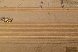 Mnet 195748 Crops Afp Dennis Charlet