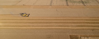 Mnet 195748 Crops Afp Dennis Charlet