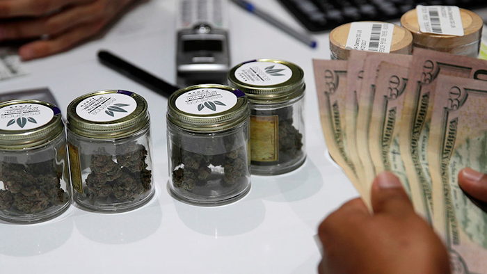 Mnet 195802 Nevada Marijuana First Year Ap