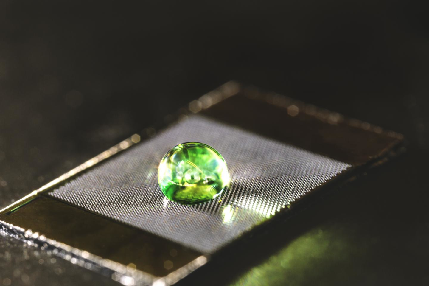 Materials could be engineered to repel liquids without coatings when carved with a bio-inspired microtexture. (KAUST)