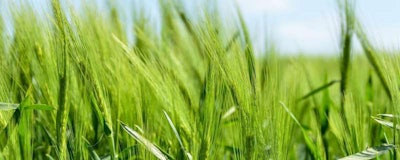 Mnet 196146 Agriculture Cc0 Public Domain