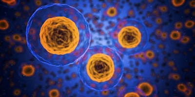 Cells. (CC0 Public Domain)