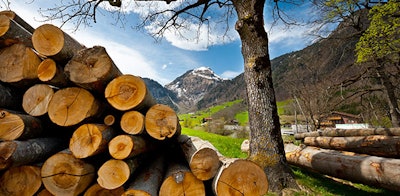 Europe's decision to promote the use of wood as a 'renewable fuel' will likely greatly increase Europe's greenhouse gas emissions and cause severe harm to the world's forests, according to a new paper published in Nature Communications. (Quadra-Fire)