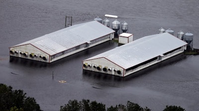 A hog farm is inundated with floodwaters from Hurricane Florence near Trenton, N.C., Sunday, Sept. 16, 2018. (AP Photo/Steve Helber)