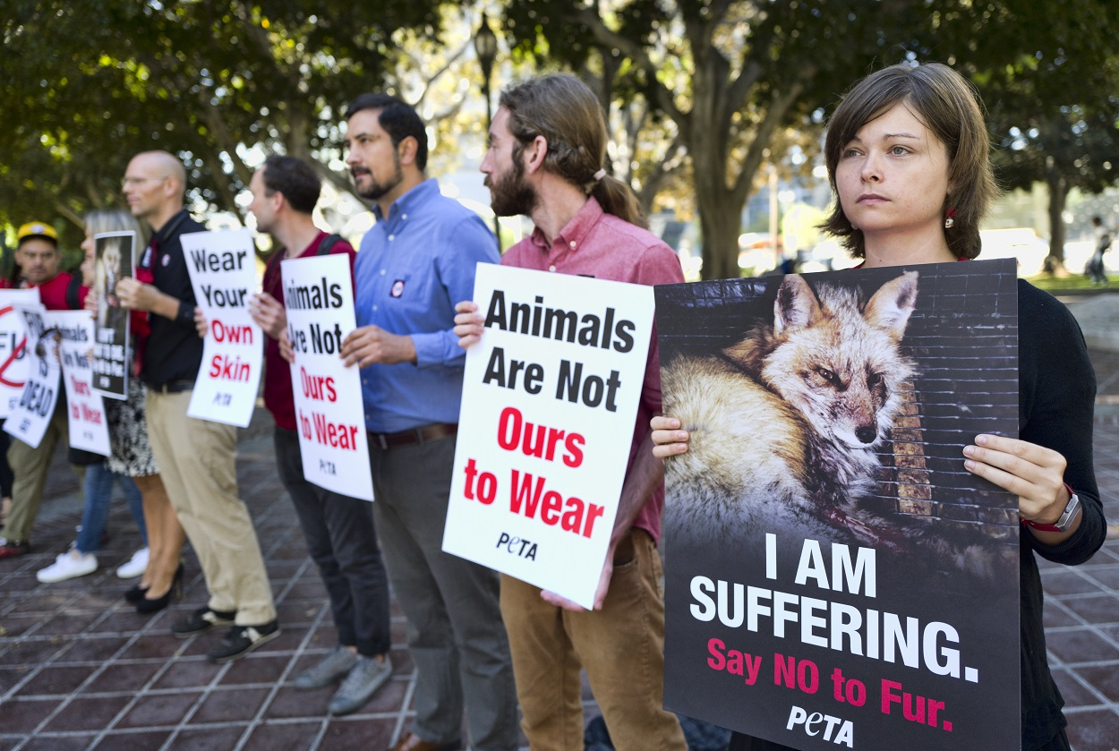 Emily Rohr, right, joins fur ban protesters with the People for the Ethical Treatment of Animals (PETA) prior to a news conference at Los Angeles City on Tuesday, Sept. 18, 2018. Image credit: AP Photo/Richard Vogel