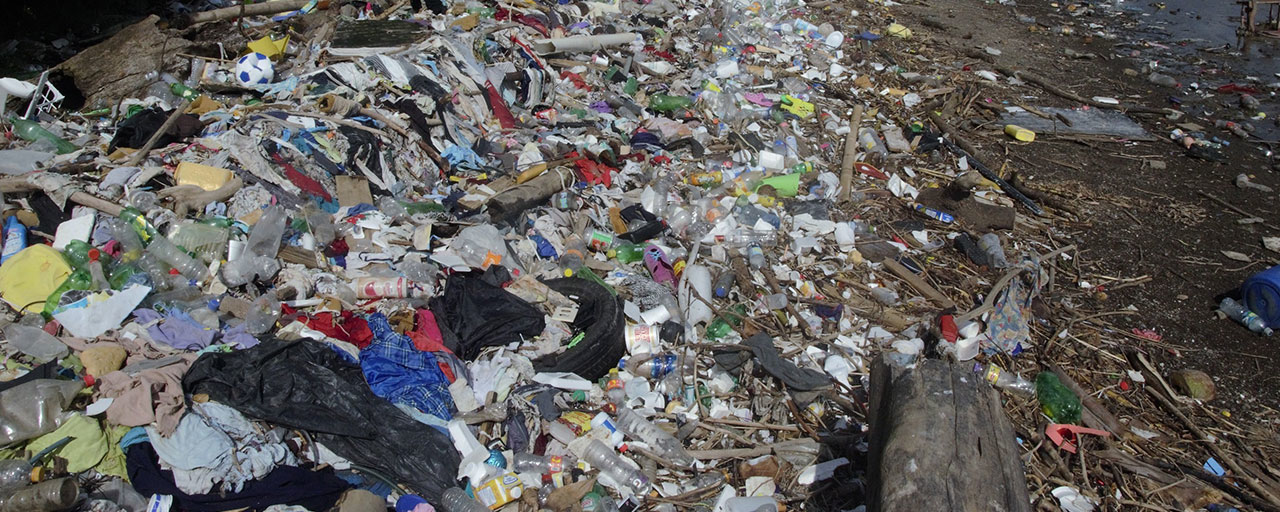 Image courtesy of The Ocean Legacy Foundation (CNW Group/Enerkem Inc.)
