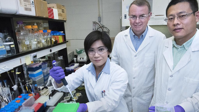 Mnet 196454 Researchers Brookhaven National Laboratory