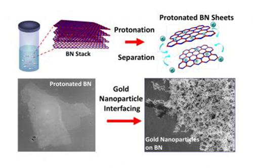 Treatment with a superacid causes boron nitride layers to separate and become positively charged, allowing for interface with other nanomaterials, like gold. Imaget: Berry, et al.