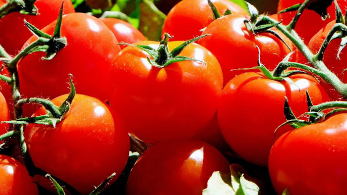 Mnet 196566 Tomatoes