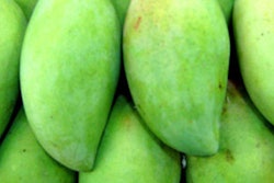 Mnet 196605 Green Mango India Mart