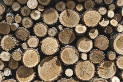 Mnet 196617 Timber