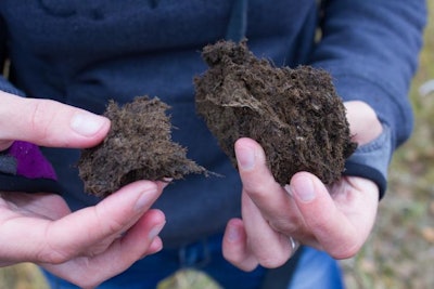 This is Arkadievsky peat at the Tomsk Oblast in Siberia Russia. (Tomsk Polytechnic University)