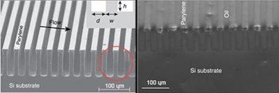 SEM images of the super-hydrophobic surface (Nature Communications)