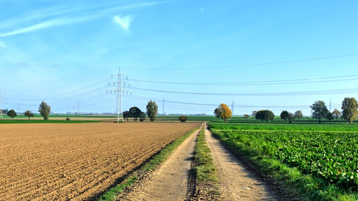 Mnet 197101 Agriculture Field Pixabay