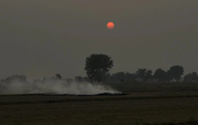 Smoke rises as farmers burn crop stubble during sunset at a village near Mathura, India, Saturday, Oct. 20, 2018. The Indian capital and large parts of north India gasp for breath for most of the year due to air pollution caused by dust, burning of crops, emissions from factories and the burning of coal and piles of garbage. (AP Photo/R S Iyer)