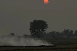 Mnet 197272 Smoke Rising Ap Photo R S Iyer