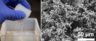 Marshmallow gel: macroscopic and microscopic image (Scanning Electron Microscopy). (Credit: Gen Hayase)