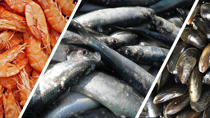 Mnet 197611 Seafood Cc0 Public Domain