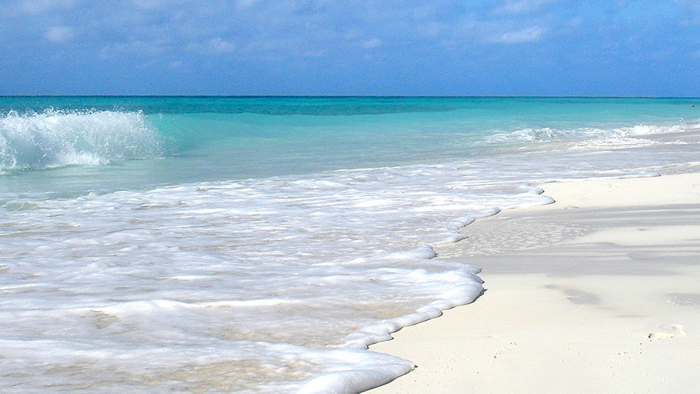 Mnet 197933 Beach Cc0