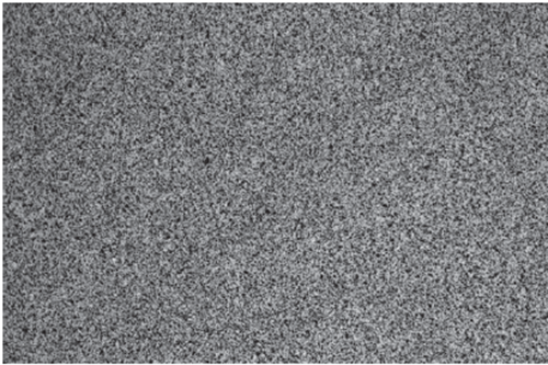 Figure 1. Premium POCO ultrafine microstructure.